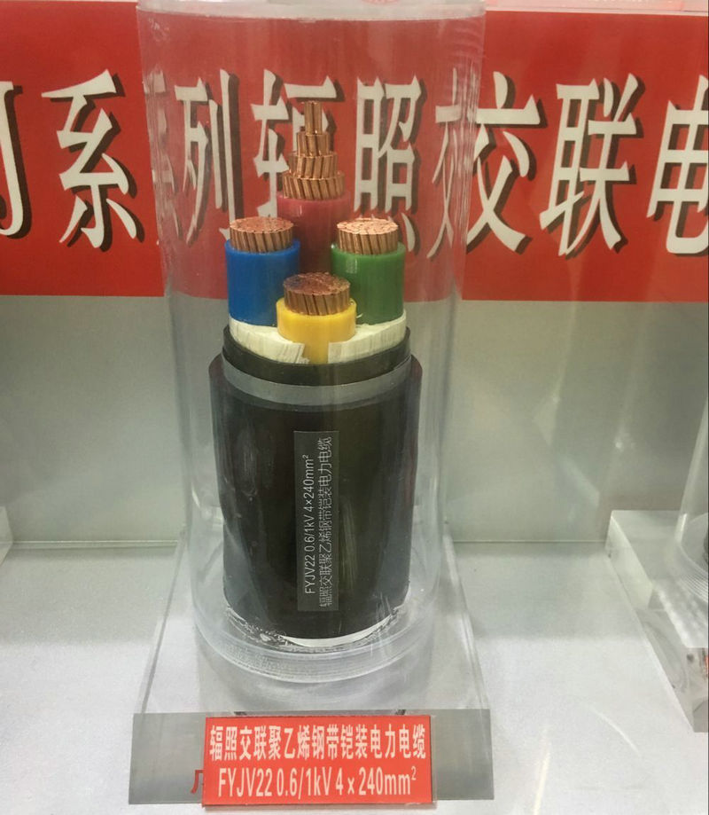 厂家直供 辐照交联电力电缆 FYJV 多规格可选